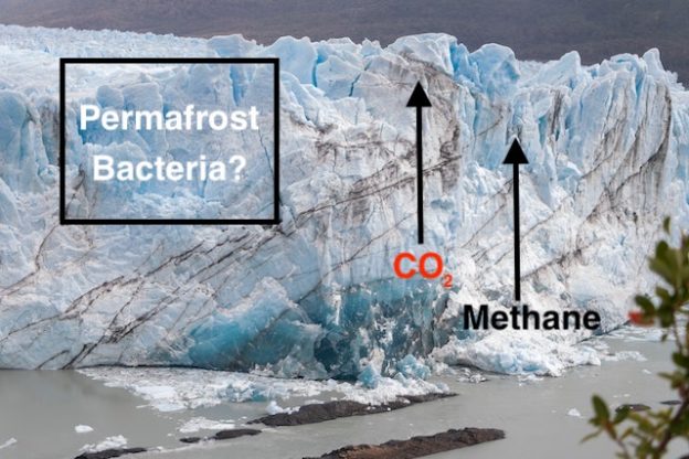 melting of permafrost in Artic environments releasing Methane and CO2